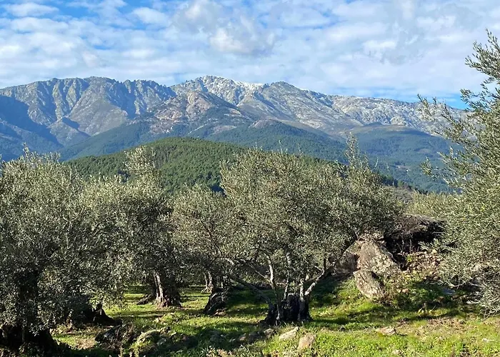 Hébergement de vacances Olivar De Gredos *
